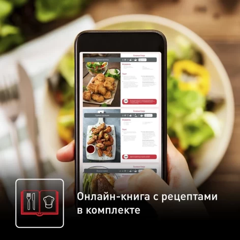 Аэрогриль TEFAL EY401D15