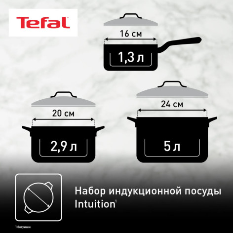 Набор посуды TEFAL Intuition 6 предметов 1,3/2,9/5л 16/20/24см  B864S674