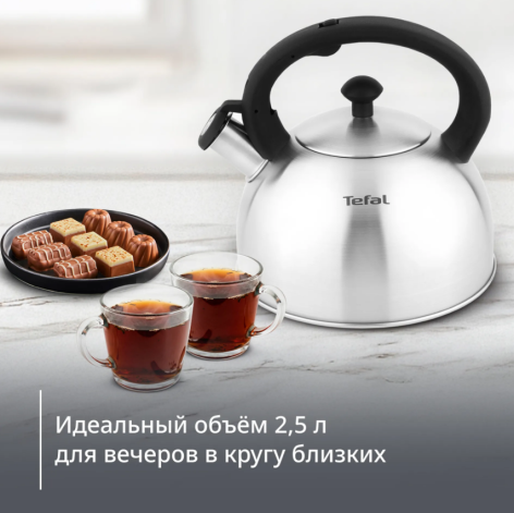 Чайник TEFAL для плит 2,5 л матовый N4210117