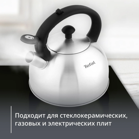 Чайник TEFAL для плит 2,5 л матовый N4210117
