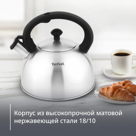 Чайник TEFAL для плит 2,5 л матовый N4210117