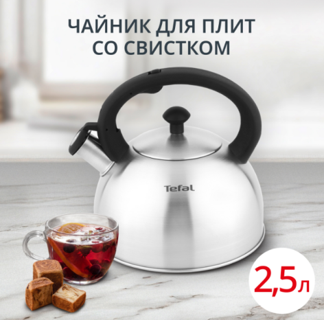 Чайник TEFAL для плит 2,5 л матовый N4210117