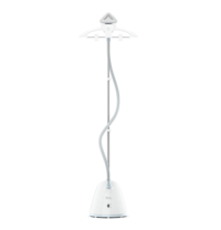 Отпариватель TEFAL IT2R04F1