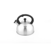 Чайник TEFAL для плит 2,5 л матовый N4210117