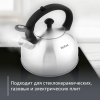 Чайник TEFAL для плит 2,5 л матовый N4210117
