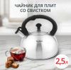 Чайник TEFAL для плит 2,5 л матовый N4210117