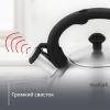 Чайник TEFAL для плит 2,5 л матовый N4210117
