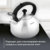Чайник TEFAL для плит 2,5 л матовый N4210117